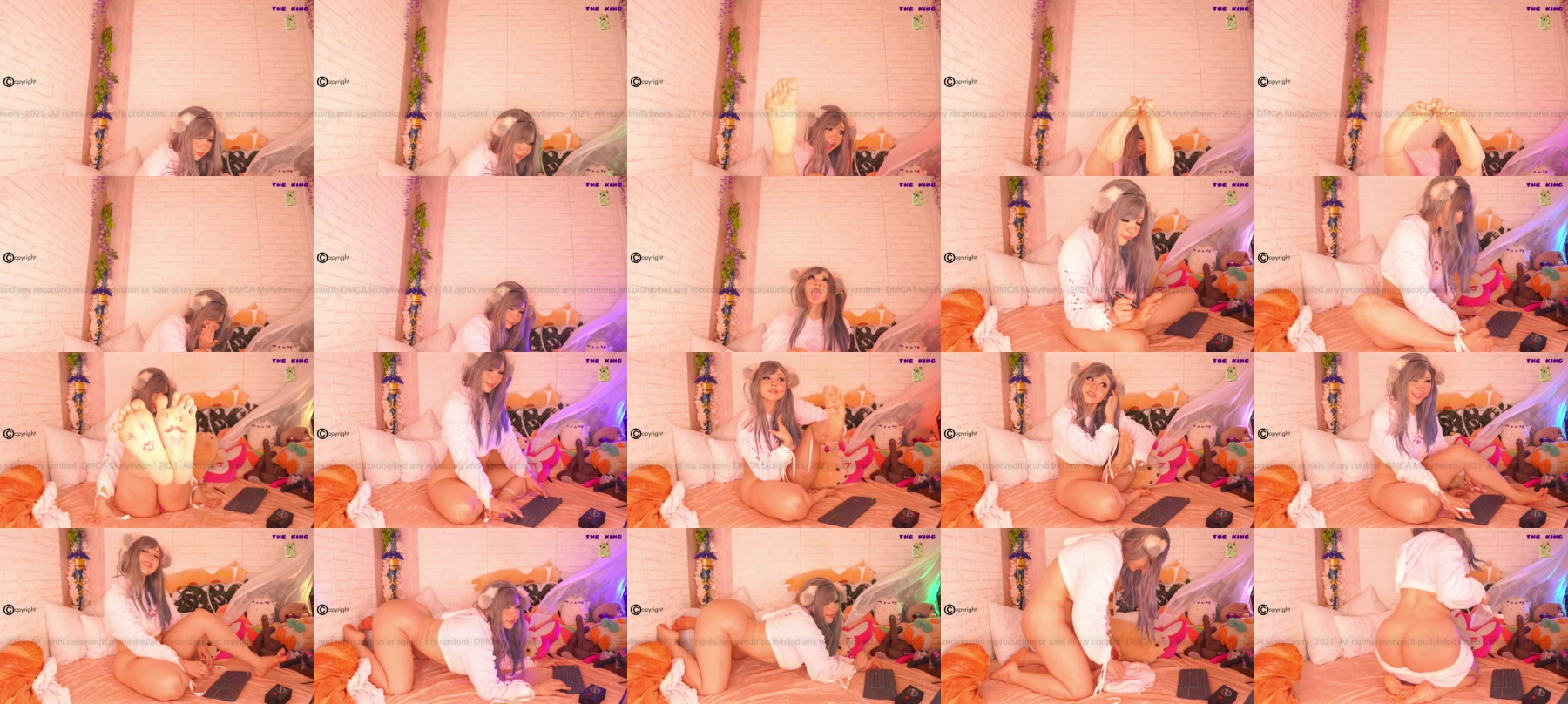 Mollyflwers  19-06-2021